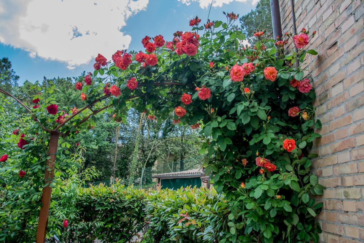 I Due Cipressi Guest House Torrenieri Exterior photo